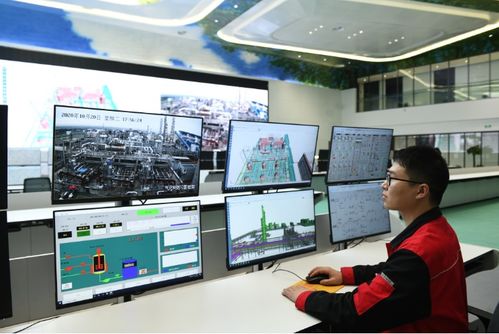 面向數字化未來，打造化工百年老店的信息技術咨詢服務